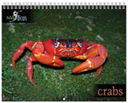Marine life calendar