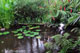 The Watergarden, Bali