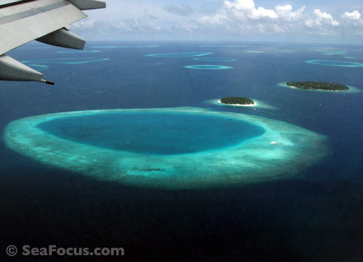 Maldivian Atoll