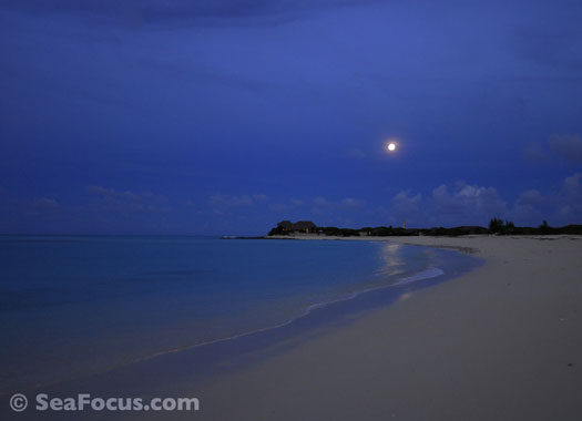 Medjumbe Private Island: moon rise