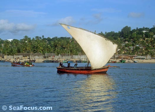 Pemba Bay, Mozambique