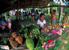 Solomons island market