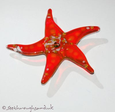 Fused glass starfish