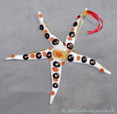 Fused glass starfish