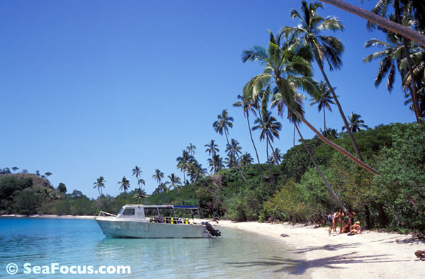 Taveuni beach