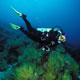 Diving at Cape Marshall
