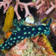 Crested nembrotha, Babua Island