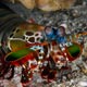 mantis shrimp