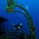 Molas wreck