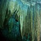 Cenote stalactites- the Yucatán