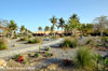 Garden at Al Sawadi Beach Resort