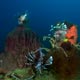 Kogyo Maru wreck