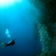 Pescador Island Sardine Run