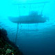 Dolphin House wall, Moalboal