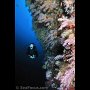 Wall and soft corals, Pescador Island