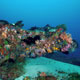 Reef in the Ticao channel