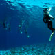 Pristine visibility at Tubbataha