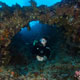 Jackson Spot dive site - Mnemba atoll