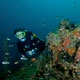 On the King Cruiser wreck