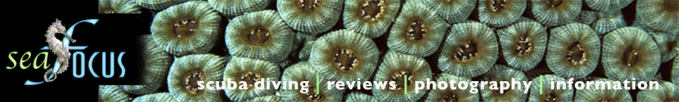 SeaFocus - scuba diving reviews, images and information