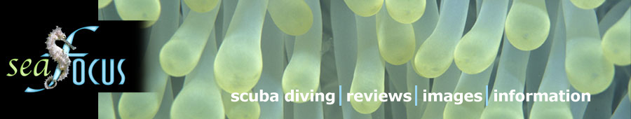SeaFocus - scuba diving reviews, images and information