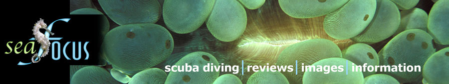 SeaFocus - scuba diving reviews, images and information